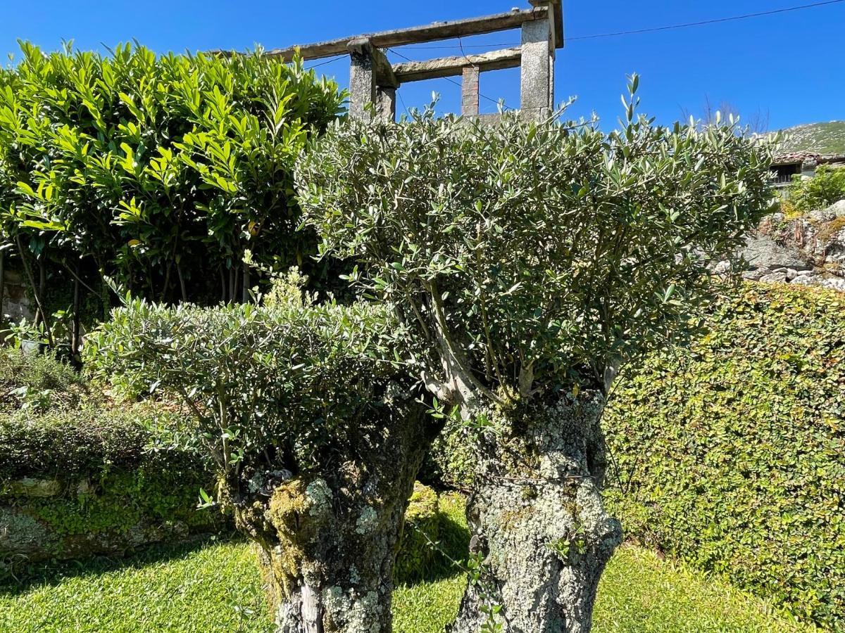 Casa De Santo Andre Moncao